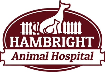 Hambright Animal Hospital